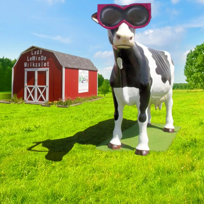 Good-Cheese-Lady